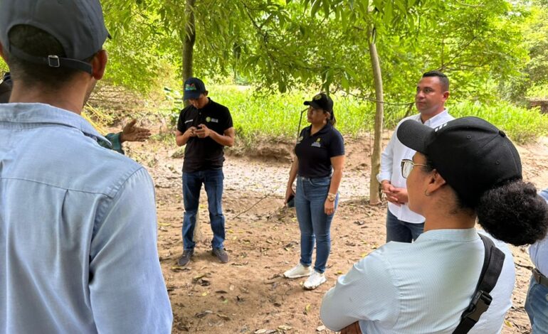 Ocho municipios del Cesar en alerta roja por deslizamientos de tierra: Gobernación atiende emergencias