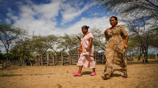 Con una inversión de $7.700 millones, el Gobierno del Cambio impulsa proyectos productivos que benefician a 275 familias en La Guajira