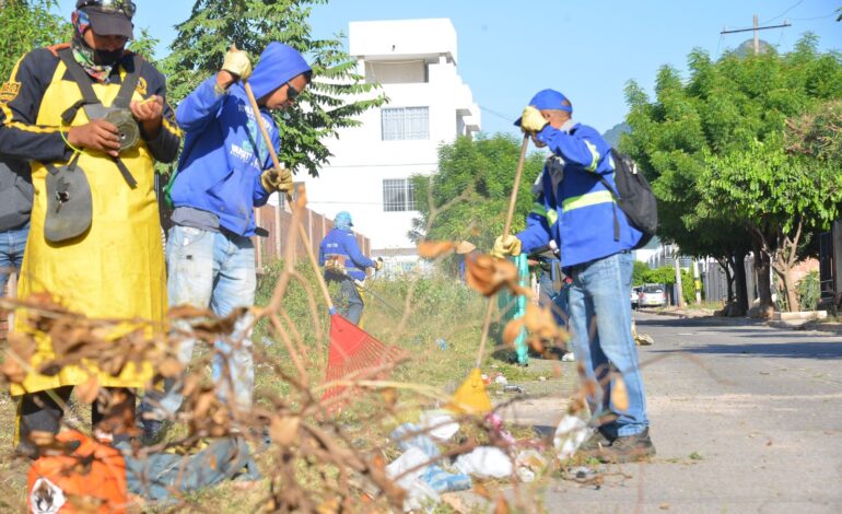 Continúan bajando los índices de desempleo e informalidad en Valledupar