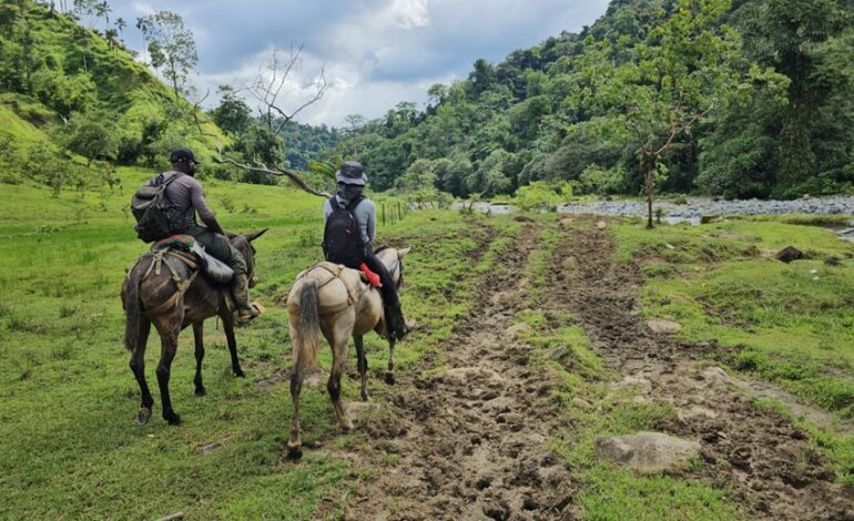 En el Mes por la Paz, la URT entrega 14.616 hectáreas a favor comunidades étnicas y campesinas