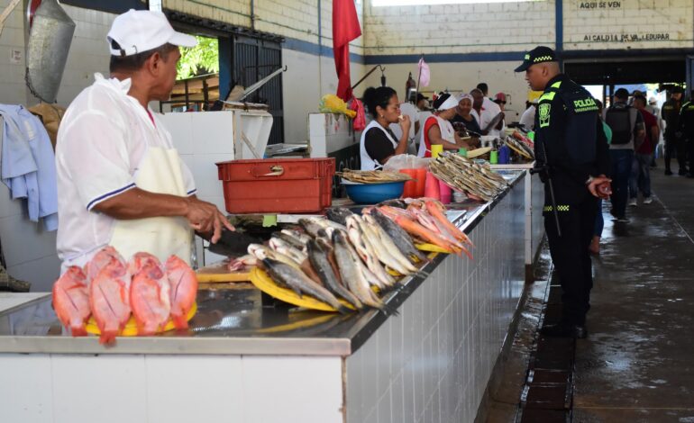 Pabellón del pescado de Valledupar fue inspeccionado ante prohibición de pesca del bagre rayado