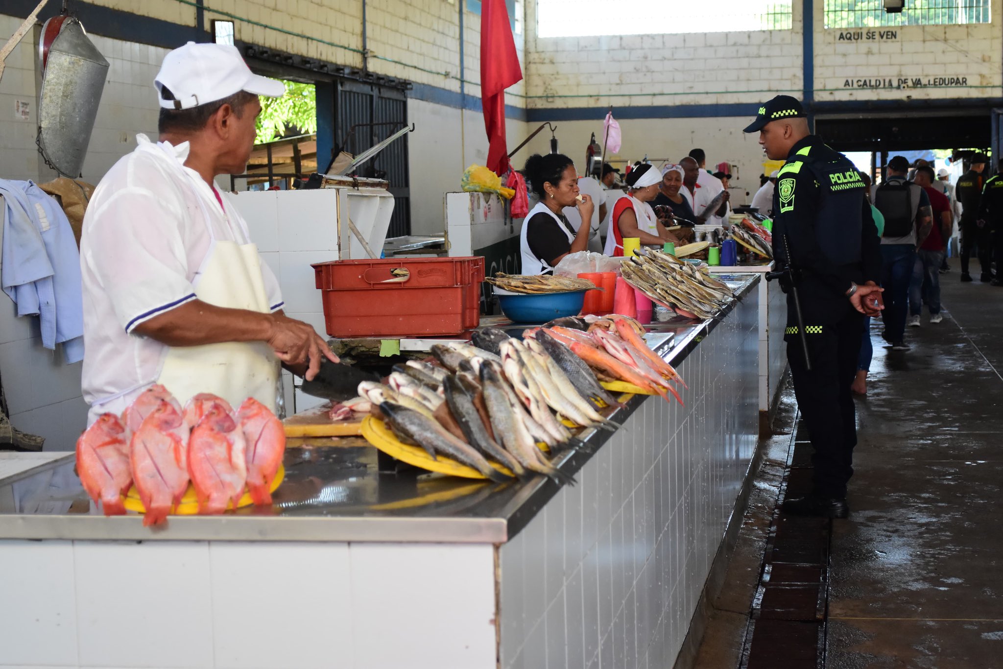 Pabellón del pescado de Valledupar fue inspeccionado ante prohibición de pesca del bagre rayado