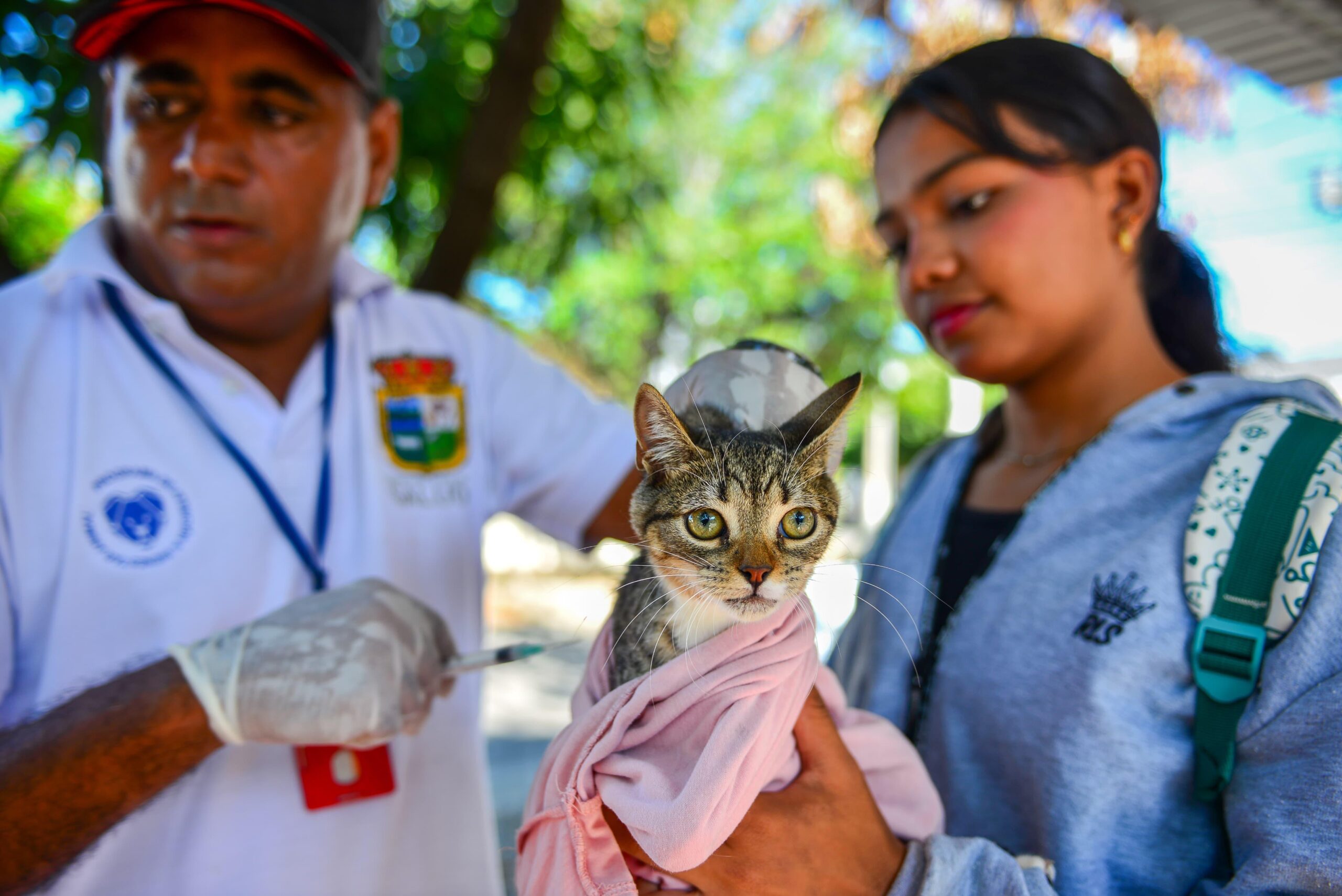 Secretaría Local de Salud desarrolló jornada de caracterización y vacunación de animales en antiguo lote del IDEMA