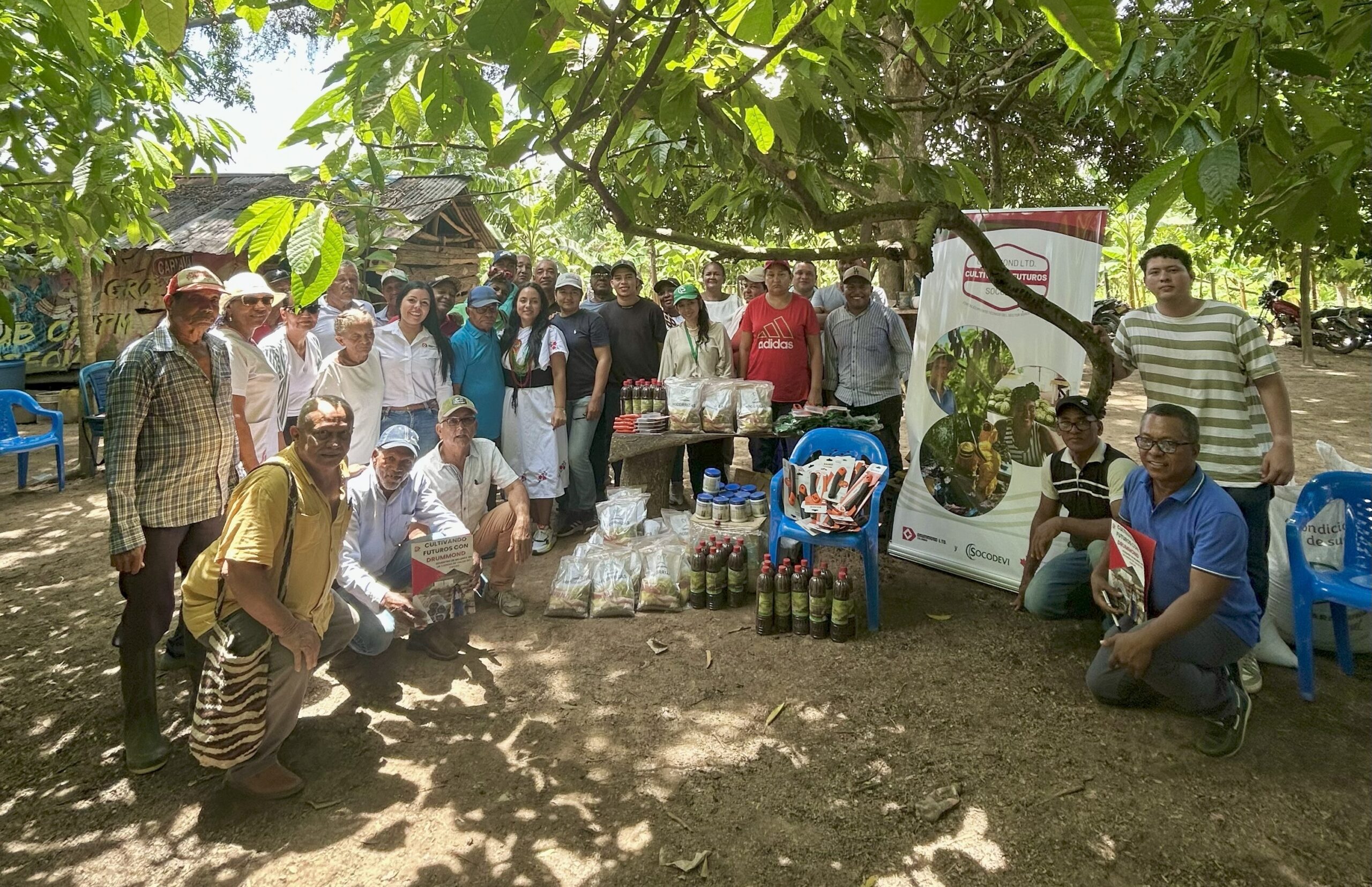 Proyecto Cultivando Futuros con Drummond fortalece las actividades productivas de 150 familias del Cesar