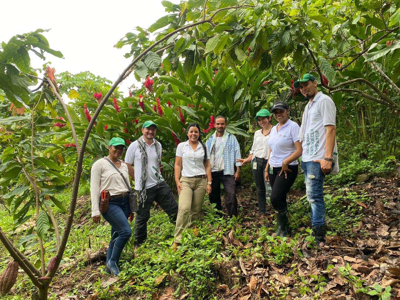 Orgullo del Cesar: Drummond Ltd. celebra la exportación de 50 toneladas de cacao premium al Reino Unido