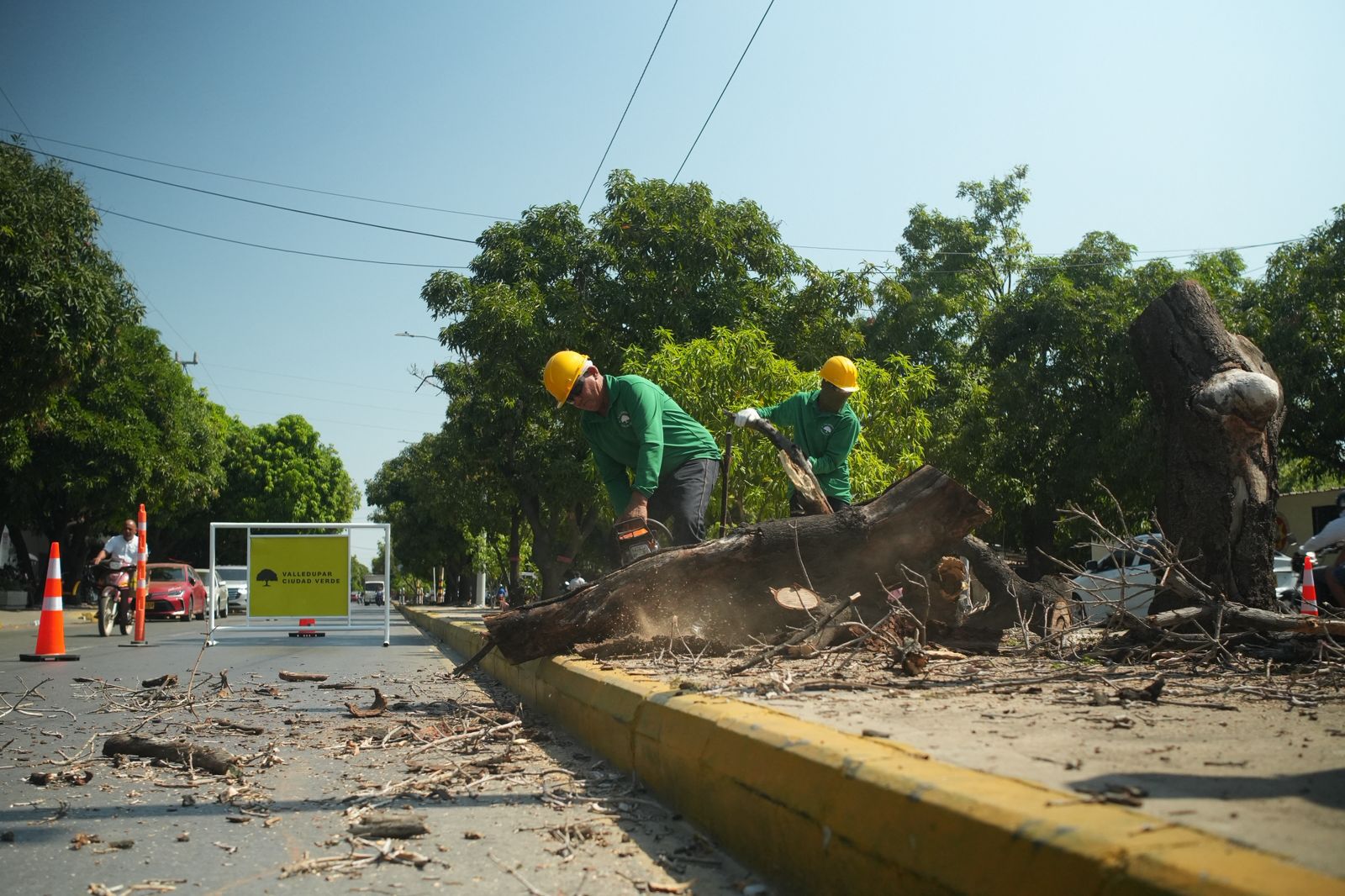 Arranca en Valledupar el proyecto ‘Ciudad Verde’ para recuperar zonas arborizadas
